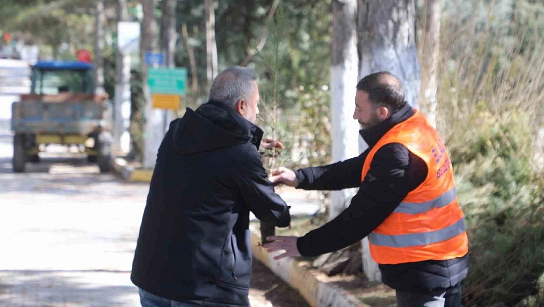 Elazığ Belediyesi'nden vatandaşlara ücretsiz fidan desteği