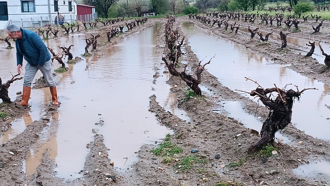 Elazığ'da Dolu Sonrası Hasar Tespit Çalışmaları Başladı