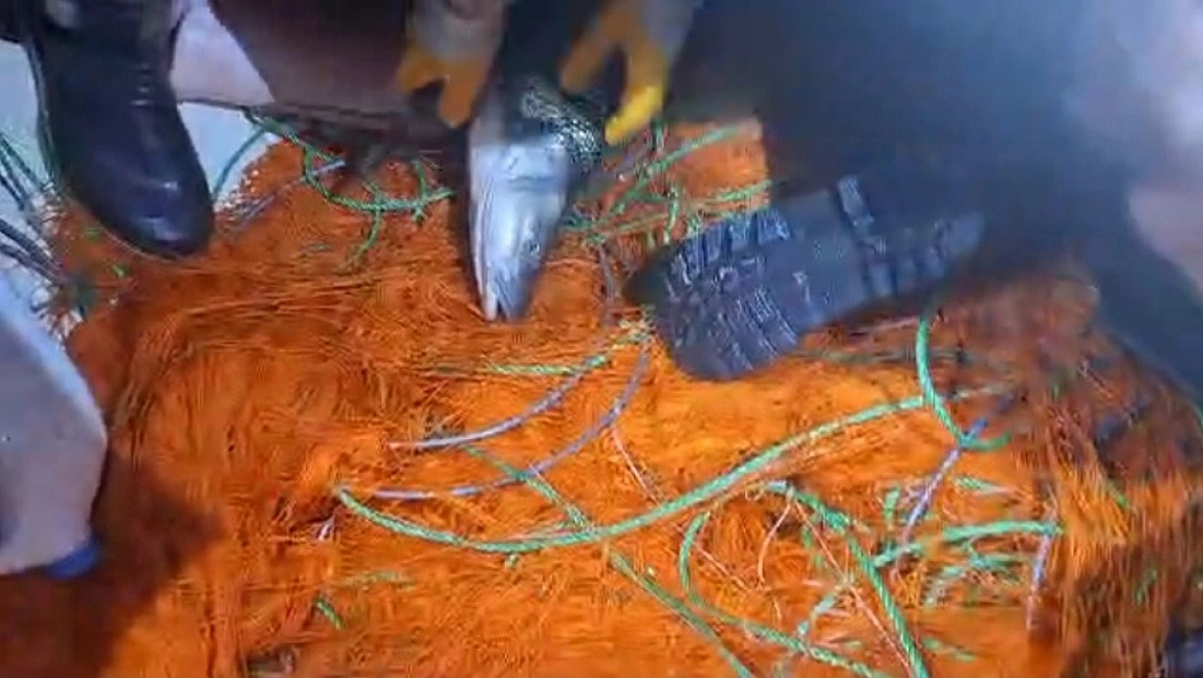 Elazığ'da Kaçak Avcılığa Darbe: 300 Metrelik Ağ Yakalandı