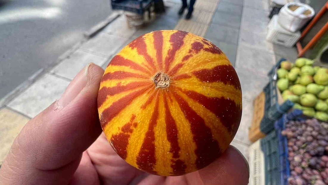 Elazığ’da Tezgâhları Kokulu Süs Kavunları Süsledi