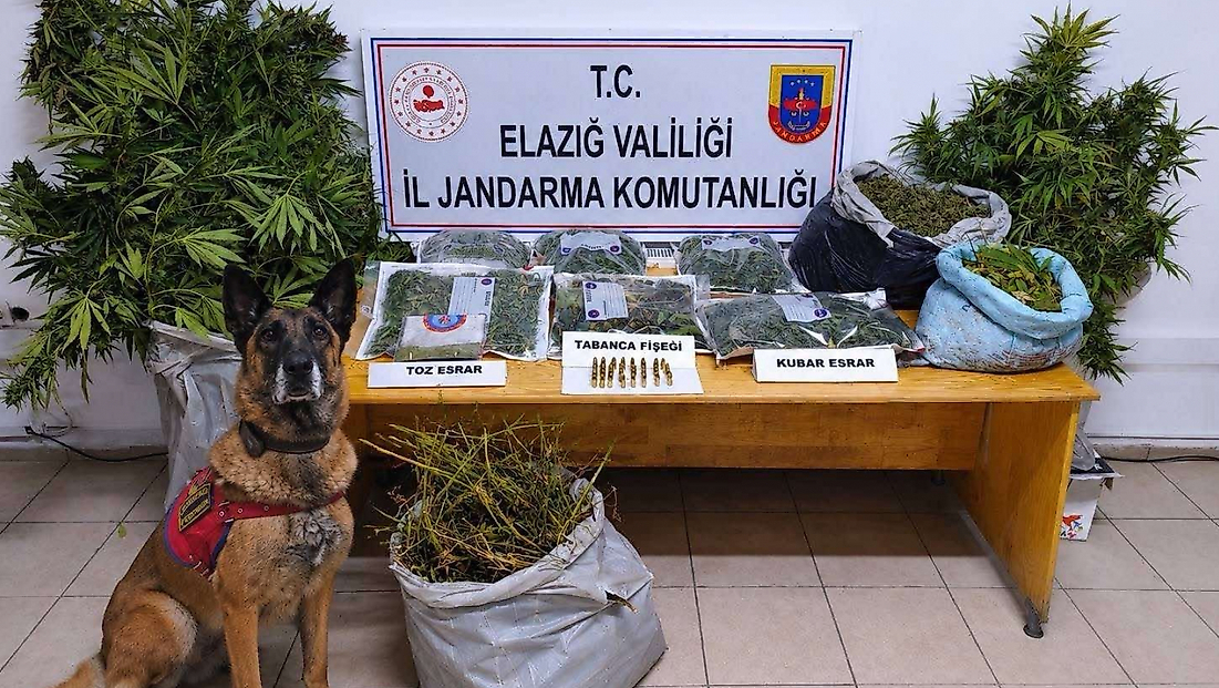 Elazığ’da Uyuşturucu Operasyonunda 3 Şüpheli Tutuklandı