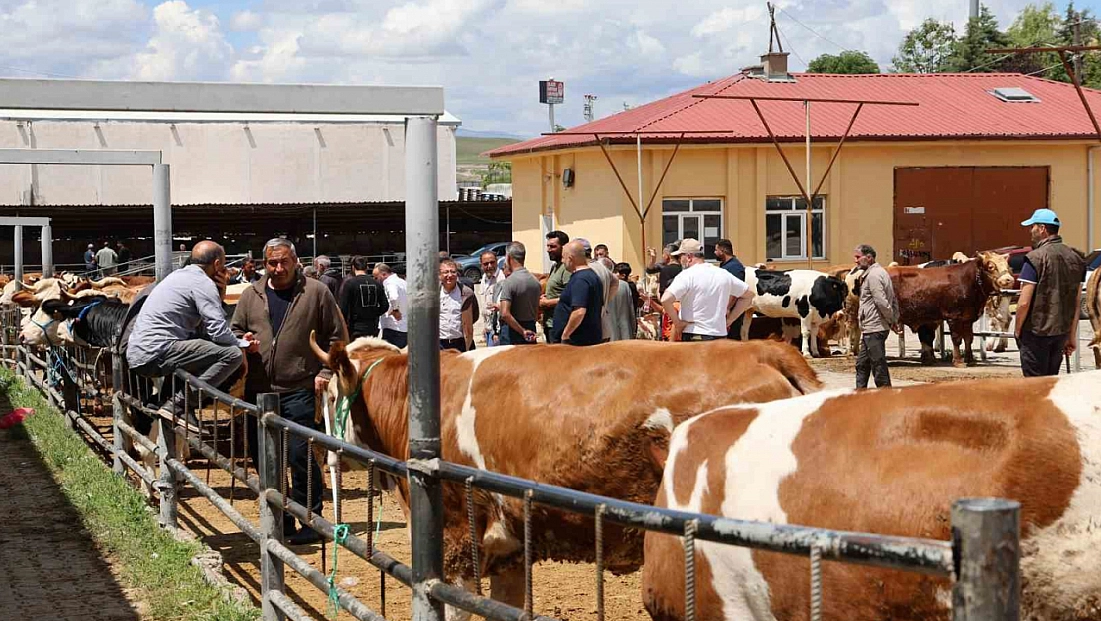 Arife Gününde Kurban Pazarında Yoğun Mesai