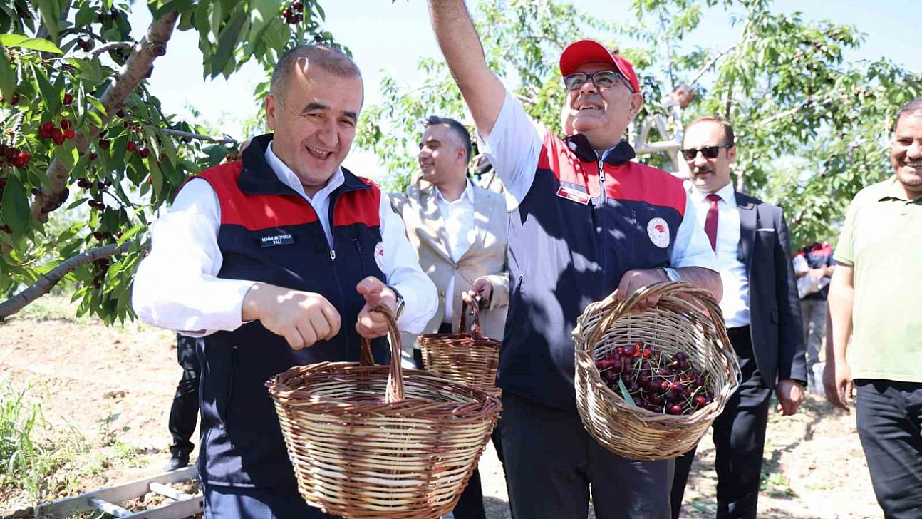 Elazığ'da Kiraz Hasadı Tüm Hızıyla Sürüyor