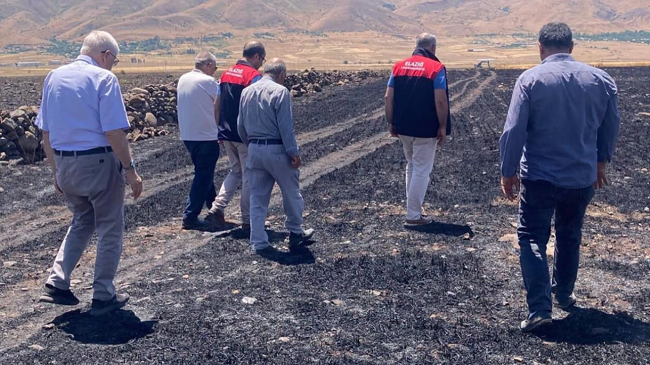 Elazığ'da Yangında Zarar Gören 70 Dönümlük Alanda Hasar Tespiti Başladı