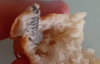 Ekmeğin İçindeki Vida Şaşkına Çevirdi