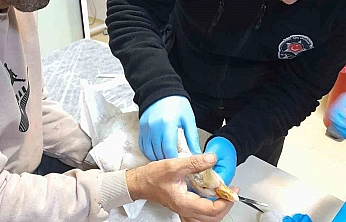 Yaralı Yavru Kaza Hastanede Şefkat Eli Uzandı