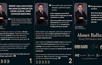 Ballıca: 'Birden Fazla NACE Kodu Bulunan İşletmeler İçin Kriter Açık: Vergi Levhasına Bakılmalı'
