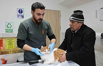 Tarihi Fakülte Hastanesinde 9 Bin 600 Hayvana Şifa