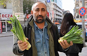Dağlardan Toplanan Şifa Kaynağı Tezgahlarda