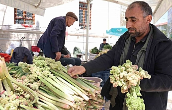 Doğu'nun Şifalı Bitkisi Işkın Tezgahlarda