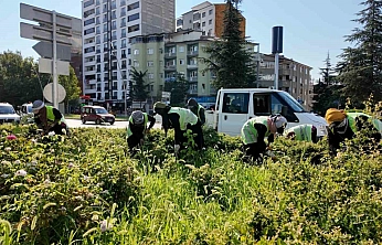 Elazığ'da Belediye Ekipleri Sahada: Çalışmalar Sürüyor