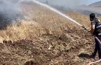 Elazığ'da Ekili Arazide Çıkan Yangın 35 Dönümü Kül Etti