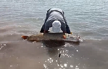 Elazığ'da Amatör Balıkçılardan 65 Kiloluk Dev Turna