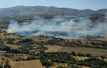 Elazığ'da Anız ve Bahçede Yangın Çıktı