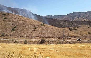 Elazığ'da Çıkan Anız Yangını Kontrol Altına Alındı