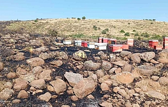 Elazığ'da Çıkan Arazi Yangını Arıcılara Zarar Verdi