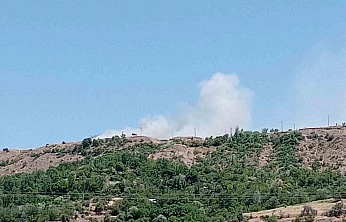 Elazığ'da Alevler Araziyi Sardı