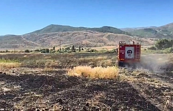Elazığ'da Çıkan Arazi Yangını Korkuttu