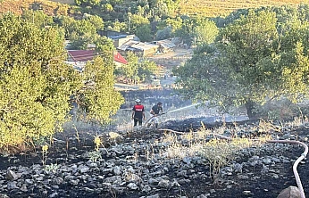 Elazığ'da Çıkan Arazi Yangını Korkuttu