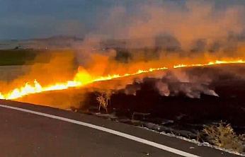 Elazığ'da Arazide Yangın Çıktı