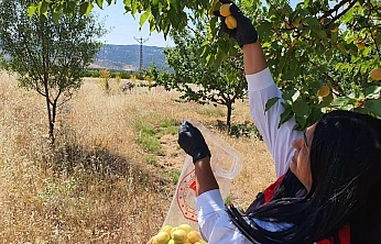 Elazığ'da Pestisit Kalıntısına Karşı Sıkı Denetim