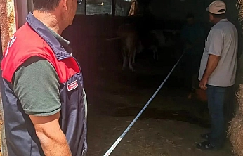Elazığ'da Hayvancılık İşletmelerinde Kapsamlı Denetim