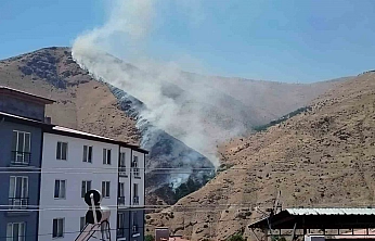 Elazığ'da Dağlık Alanda Yangın