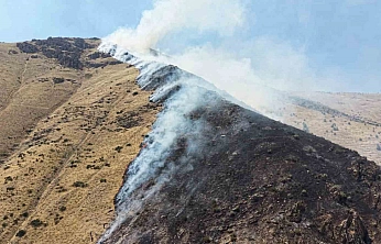 Elazığ'daki Dağ Yangınının Şüphelisi Tutuklandı