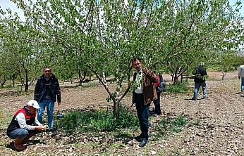 Elazığ'da Dolu Yağışının Ardından Hasar İncelemesi