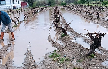 Elazığ'da Dolu Sonrası Hasar Tespit Çalışmaları Başladı