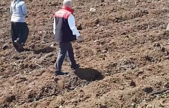 Elazığ'da Domates Üreticileri Yeni Sezona Başladı