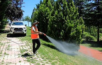 Elazığ'da Haşereyle Mücadele Çalışmaları Devam Ediyor