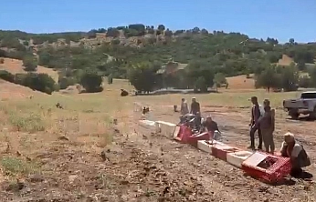 Elazığ'da Kene Mücadelesine Doğal Destek: Keklikler Salındı