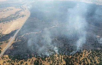 Elazığ'da Kırsal Alanda Çıkan Yangın Ormanlık Alana Sıçradı