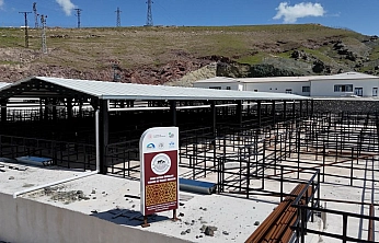 Elazığ'da Kurban Bayramı Hazırlıkları Başladı