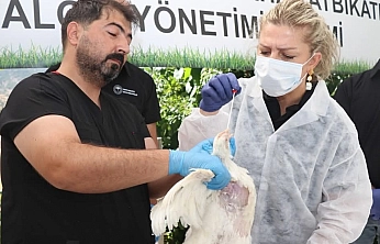 Elazığ'da Kuş Gribine Karşı Eğitim Verildi