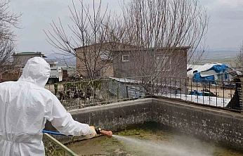 Elazığ'da Haşereyle Mücadele Başladı