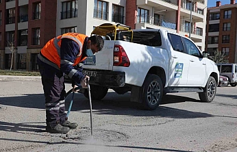 Elazığ'da Larva Mücadelesi Devam Ediyor