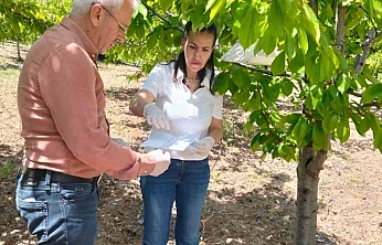 Elazığ'da Meyve Bahçelerinde Zararlılara Karşı Yakın Takip