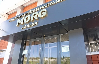 Elazığ'da Feci Kaza: Yaya Yaşamını Yitirdi