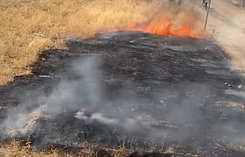 Elazığ'da Otluk Alanda Yangın Paniği