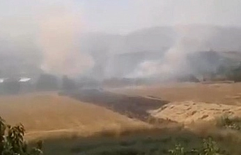 Elazığ'da Otluk Alan Alevlere Teslim Oldu