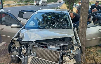Elazığ'da Otomobil Ağaca Çarptı: 4 Kişi Yaralandı