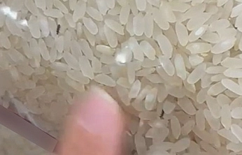 Elazığ'da Şaşırtan Görüntü: Paketli Pirincin İçinden Böcek Çıktı