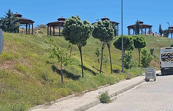 Elazığ'da Kuvvetli Rüzgar Hayatı Olumsuz Etkiledi