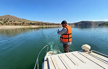 Elazığ'da Balık Popülasyonu İçin Sonbahar Mesaisi