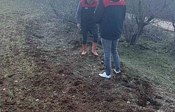 Elazığ'da Tarla Faresi Sürvey Çalışması