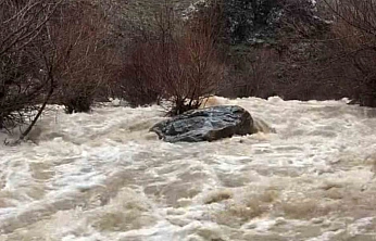 Sağanak Yağış Dereleri Coşturdu