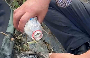 Yangından Kaçan Kaplumbağaya Elazığlı Vatandaşlar Sahip Çıktı