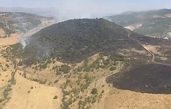Elazığ'da Orman Yangını Söndürüldü